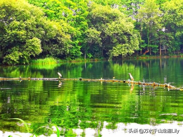 杭州不为人知的世外桃源,杭州幽静的去处
