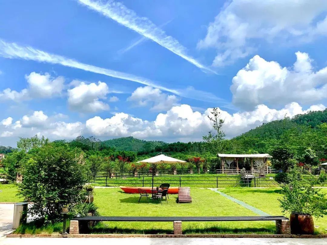 藏于稻田竹海中的增城轻奢民宿,广州增城中新镇三天两夜民宿推荐