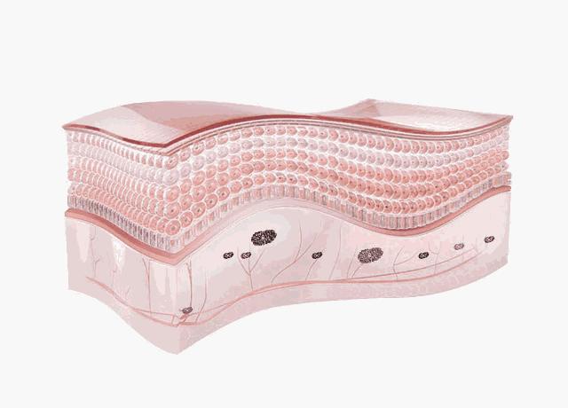 美白有什么妙招,时下最先进的美白方法