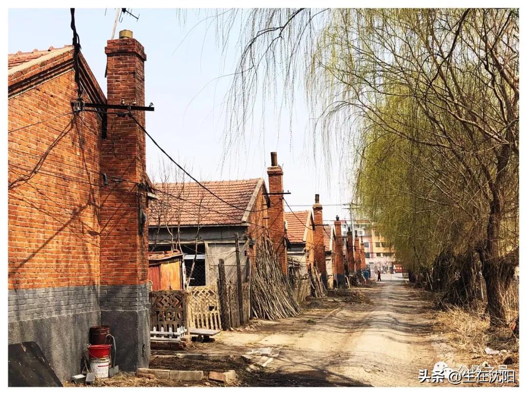 沈阳兴华实验学校回忆,沈阳回忆童年