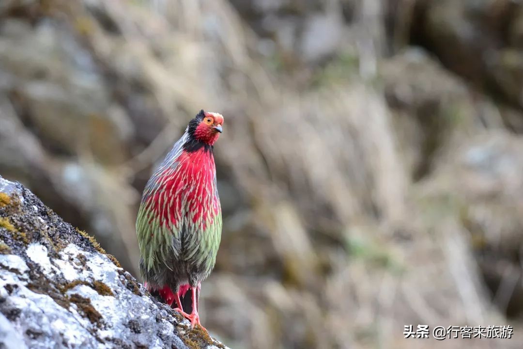 世界最大峡谷,云南最大的峡谷怒江大峡谷