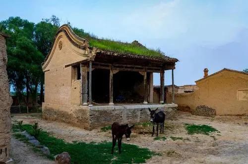 山东梆子传承人刘桂松,山东梆子表演艺术家杨怀斌