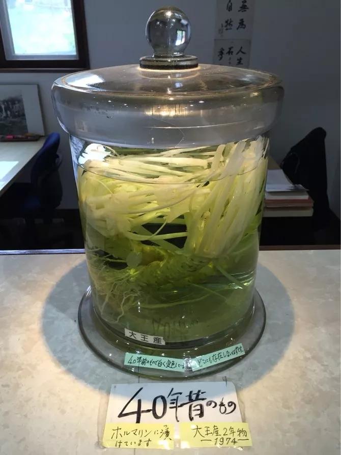 25亩荒地居然年游客竟然超过100万