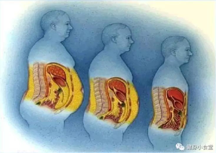 平板支撑怎么锻炼腰围,如何平板支撑斜方肌会瘦