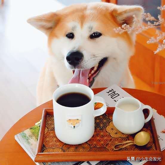 有什么实用的礼物送女朋友,送女朋友什么礼物最有意义排行榜