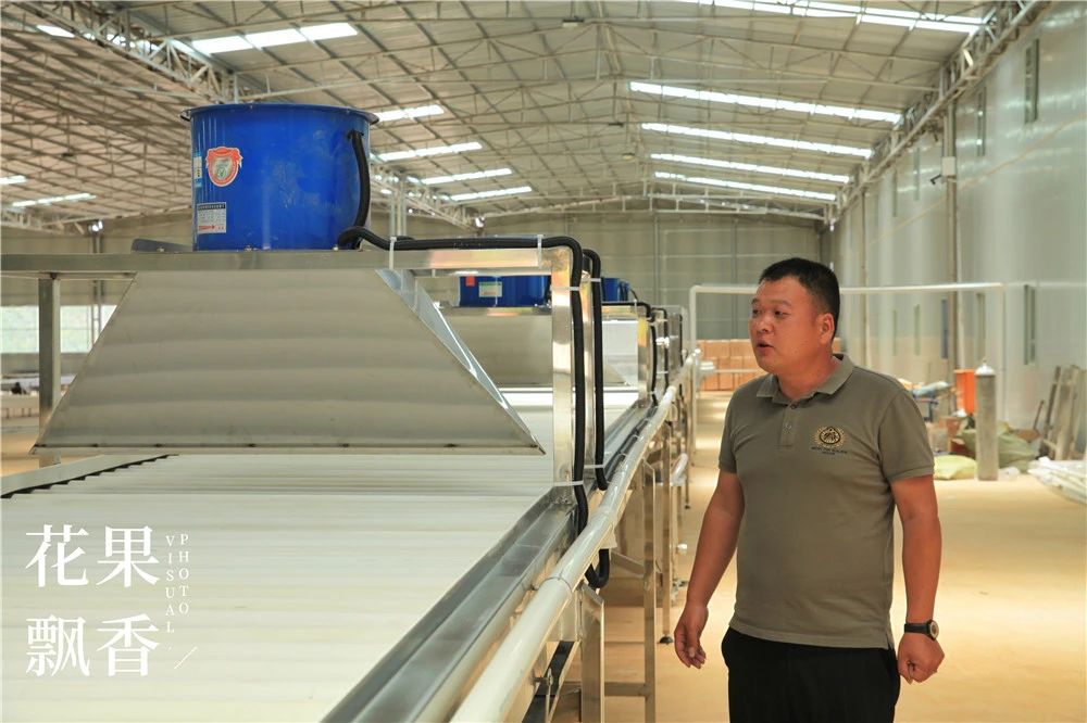 果园防雹网一亩地要多少钱,果园防雹网支架安装尺寸