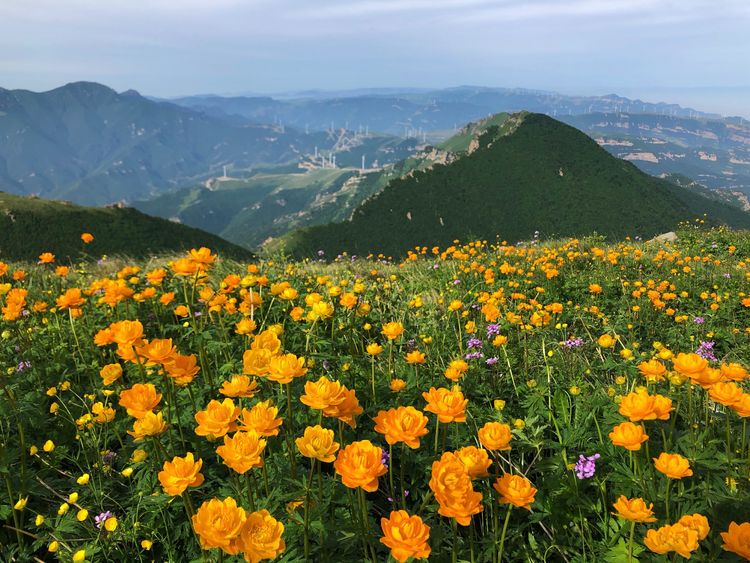 小五台山景区游玩攻略,小五台山快乐一日游