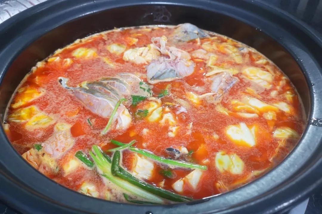 昆明甸尾村的水杉真的太美了,昆明甸尾水杉林网红打卡地