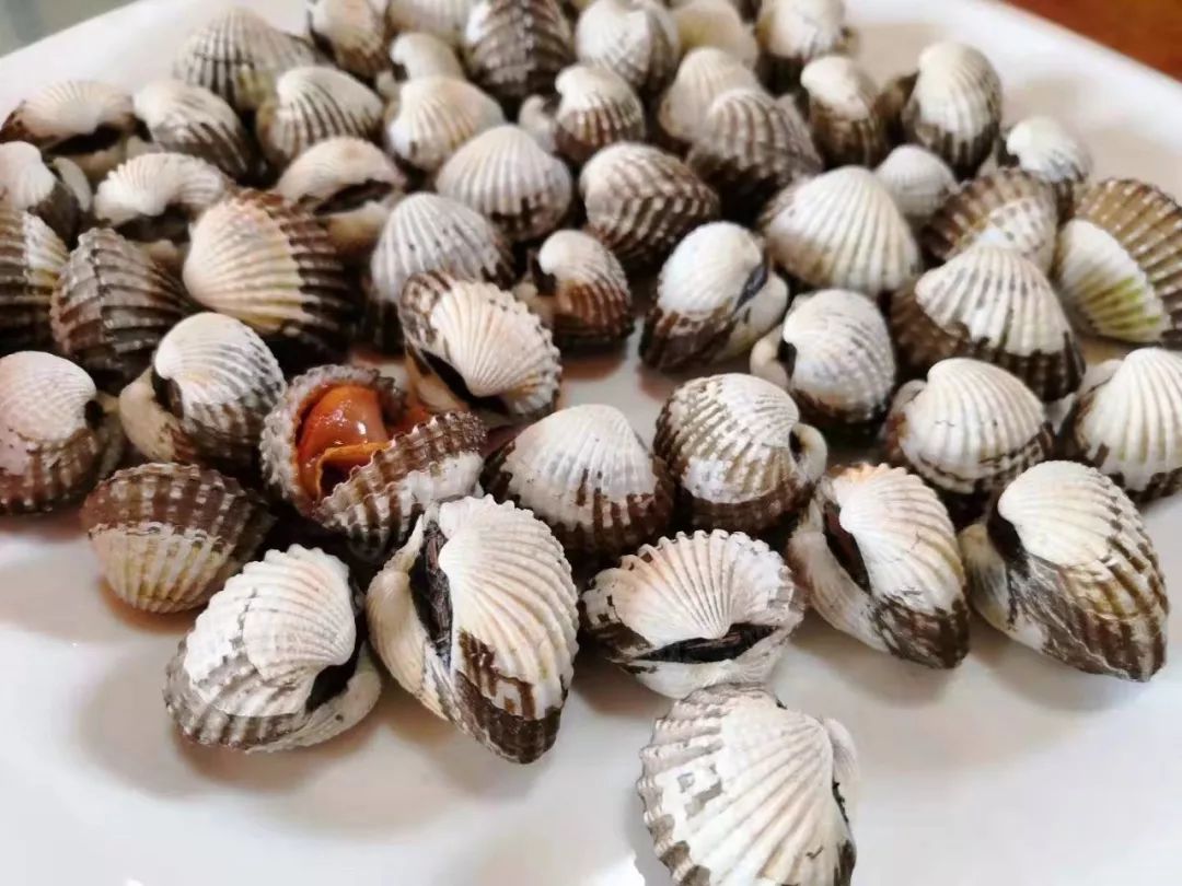 温州特色美食小吃瘦肉丸,品味当地特色小吃