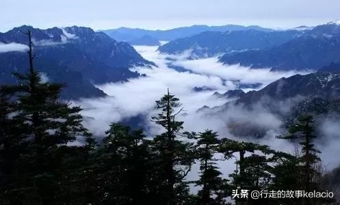 探秘神农架清凉好度夏,神农架大九湖避暑