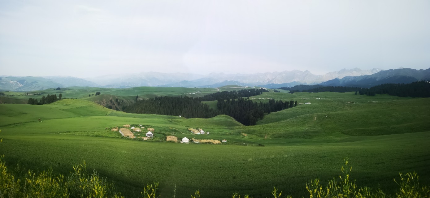 最新江布拉克5月份景色,江布拉克7月美吗