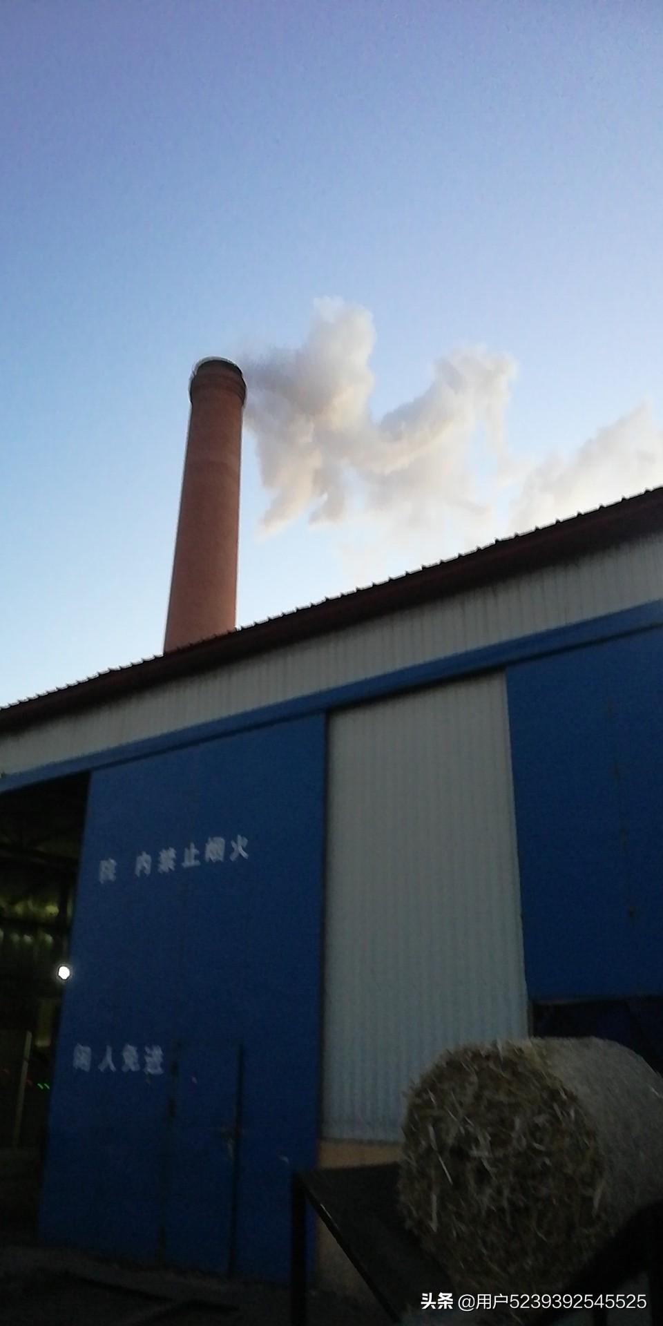 秸秆燃烧锅炉,秸秆净化焚烧炉