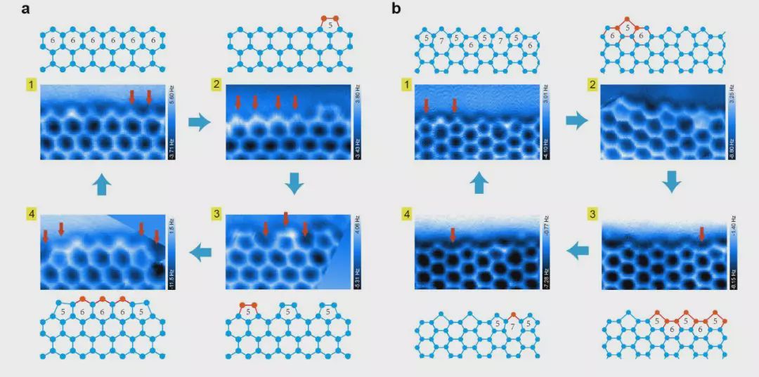 二维家族再添新冰，江颖、王恩哥等证实二维冰的存在