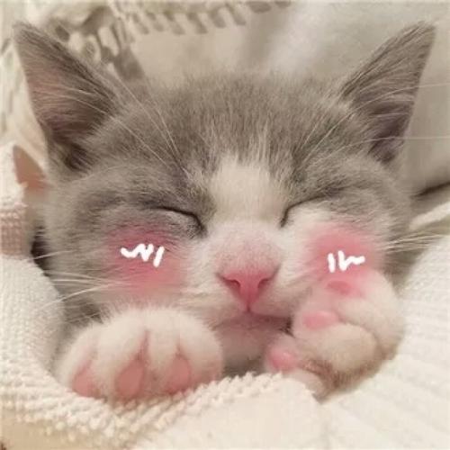 拼多多直通车推广是花钱的吗,拼多多直通车效果怎么样