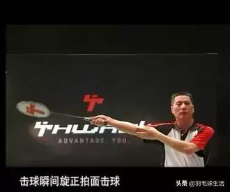 羽毛球十个知识,羽毛球基础知识100例