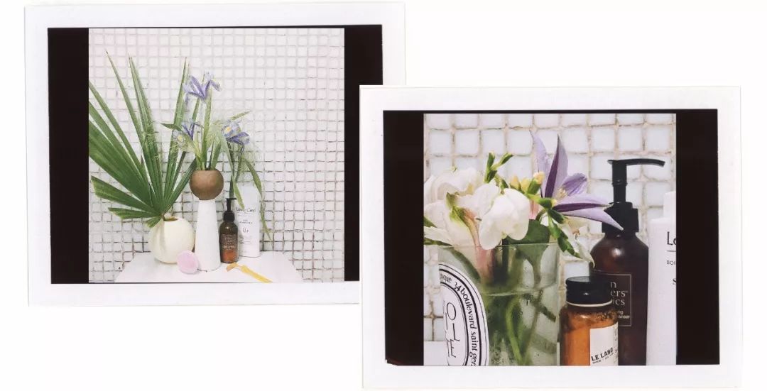 什么花最受女孩欢迎,女孩子中比较受欢迎的花