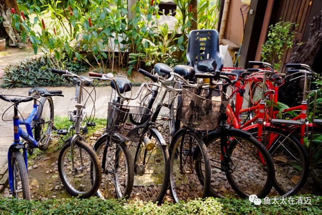 在清迈短租房一个月多少钱,在清迈住一个月花费多少