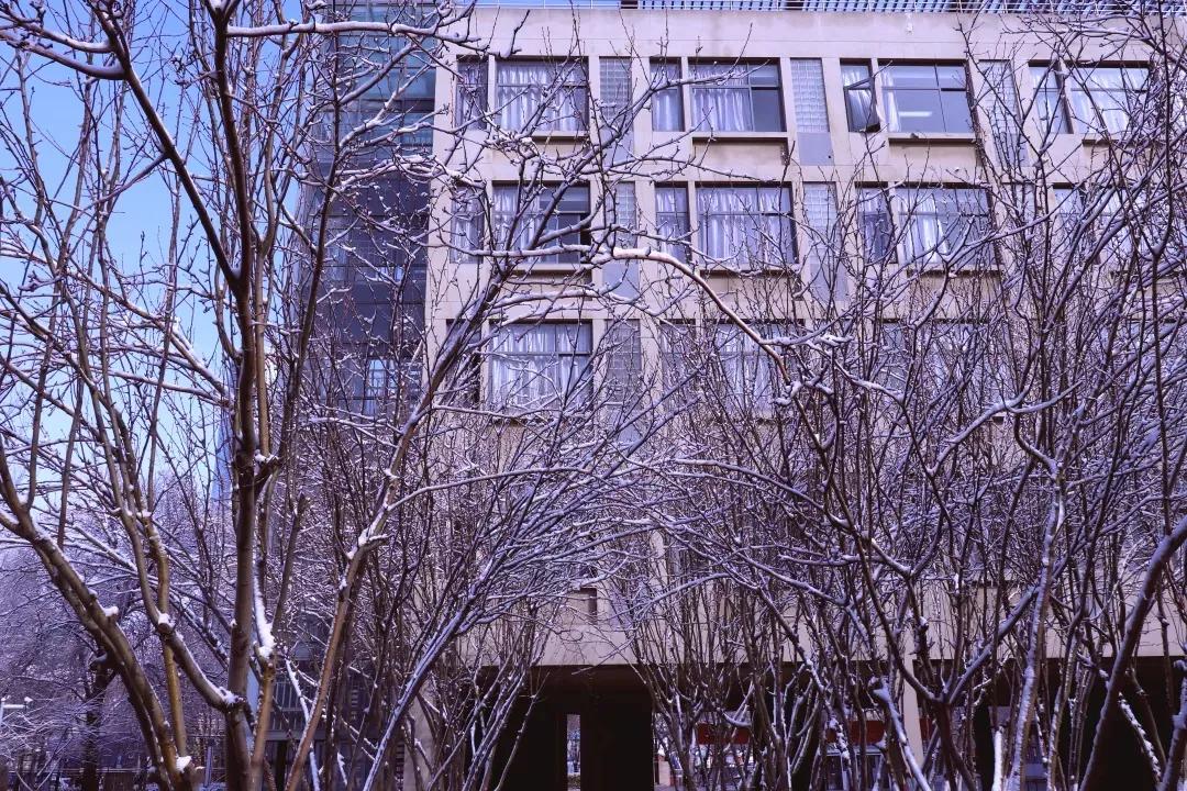 天津市高级中等学校,天津市锐华高级中学