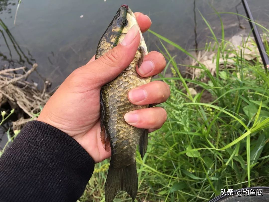 太阳反光看不清浮漂怎样解决,大风大浪钓不到大鱼