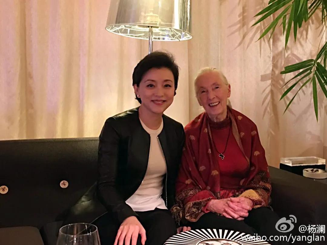 珍妮古道尔个人简介,珍妮古道尔中国学生