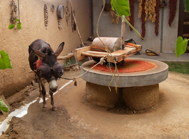 countryside 国家 (country是乡下的意思吗)