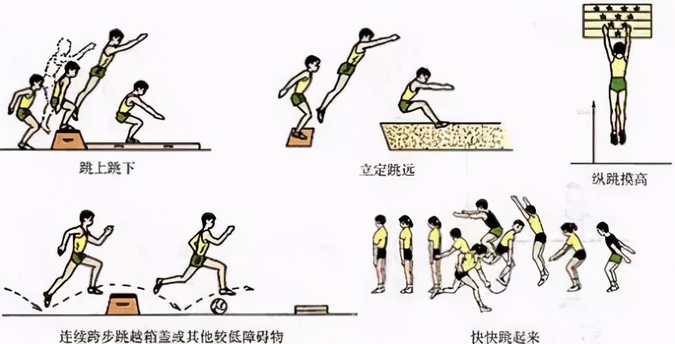 体育教学挂图动作图解,体育课动作教学