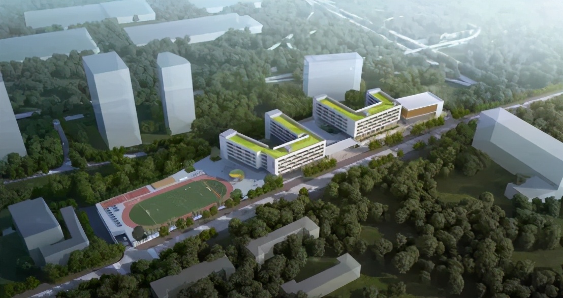 “双减”在两江|金山·云翠小学：关注学生个性发展让教育“智慧”更“至善”