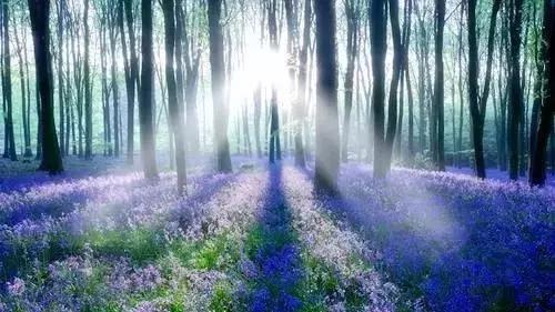 外国92岁老太太年轻的秘诀,美国老奶奶长寿