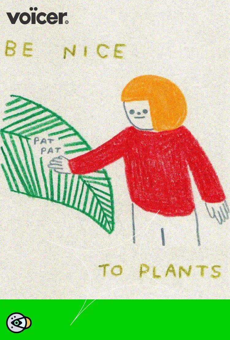 金盆洗手吧，植物杀手们