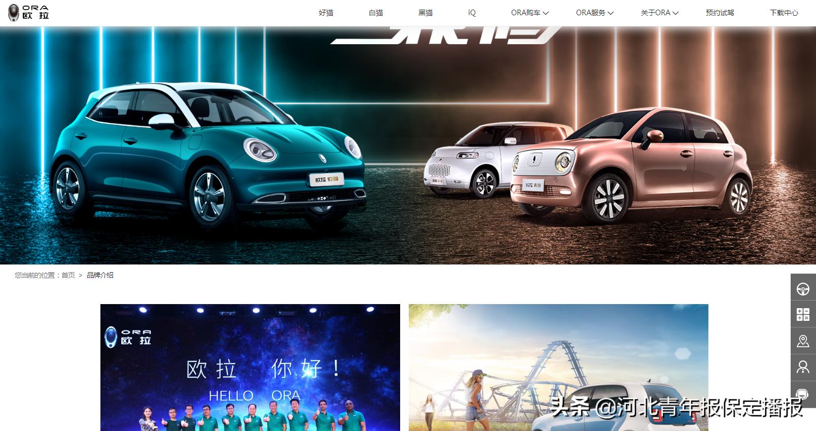 保定：“‘欧拉’要黄，‘滴滴’接手？”官方：目前一切正常