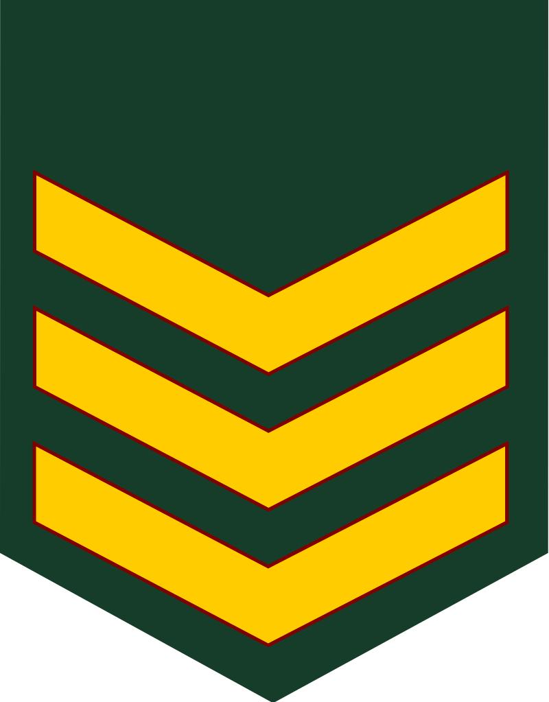 民国国军军装军衔标识,马来西亚军队军衔图集