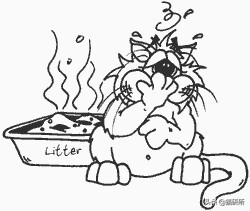 猫咪不用猫砂乱拉乱尿怎么办,猫咪尿味在家里怎么快速处理