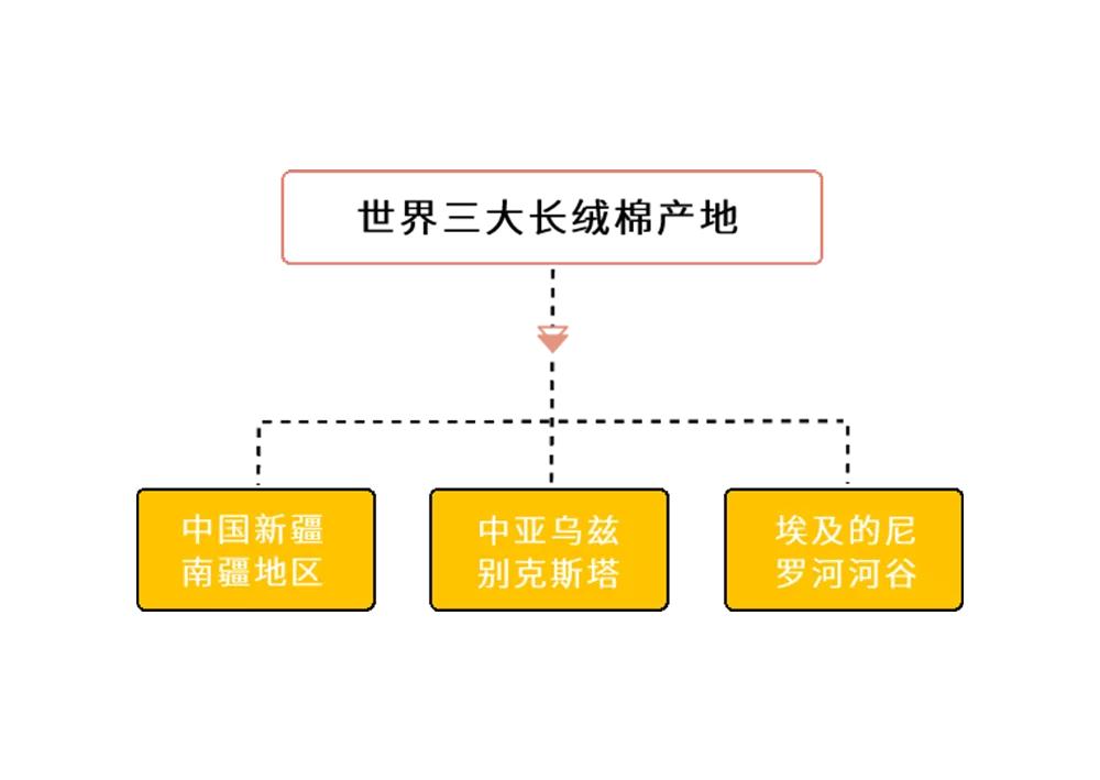 养活大量人口的粮食作物,正宗新疆新棉花大量上市