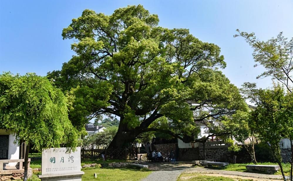 带你走进中国最美的村落,带你打卡中国最美古村