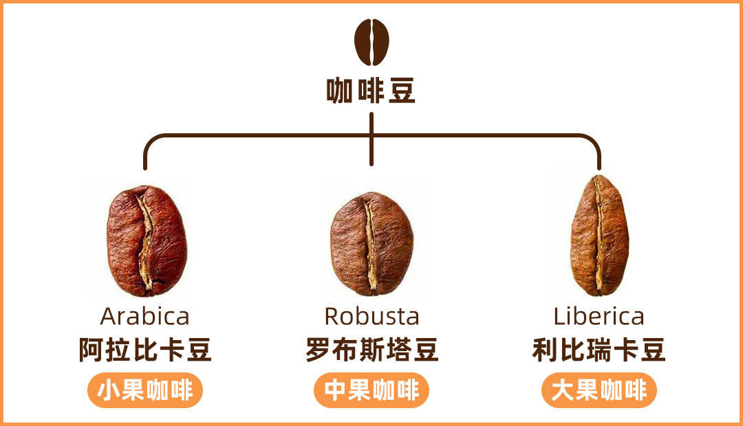 咖啡价格一般在什么价位合理,咖啡价格分级