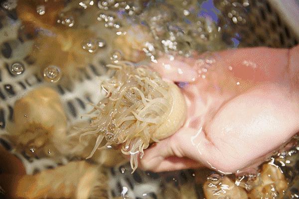 广东海岛打卡网红地,广东小众海岛打卡