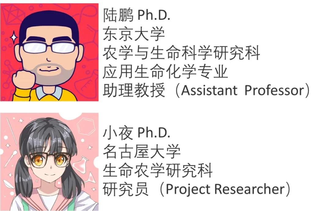 脚气病和脚气完全不是一回事，第一位日本发现者却没有受到重视