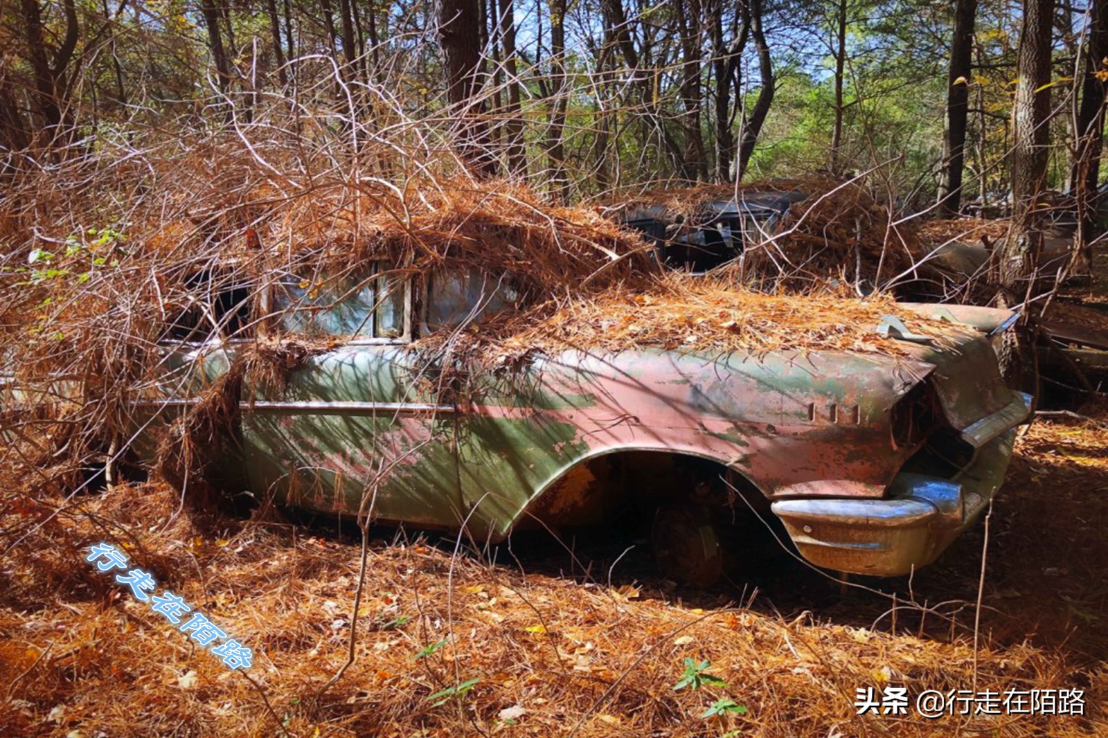 最值钱的废品,最值钱的废品回收