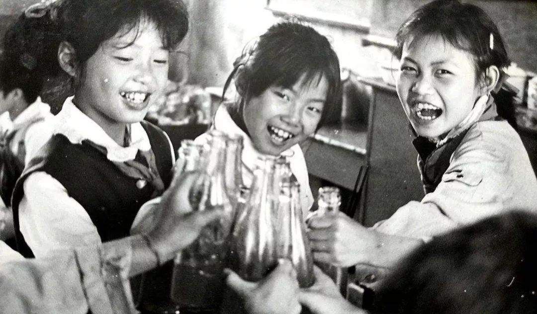 海滨老城泡桐花 (海滨老城紫色泡桐花)