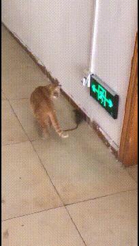 球不是这样踢滴搞笑图片,足球趣图搞笑图片