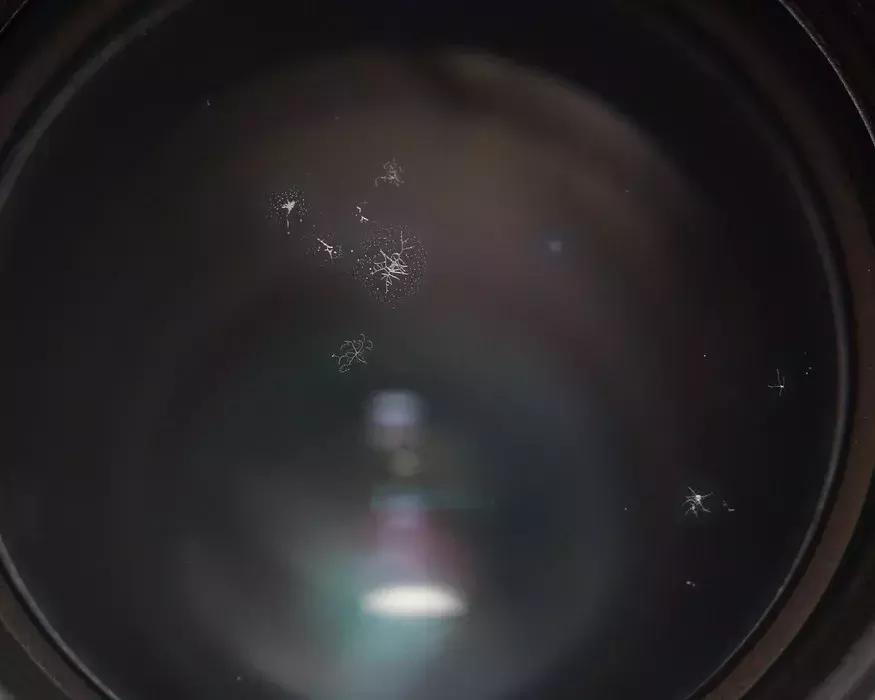 怎么判断镜头镀膜有没有伤害,镜头镀膜伤了还有救吗