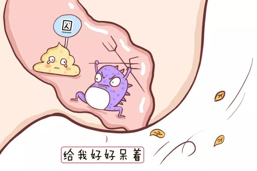 宝宝便秘吃益生菌后大便次数多,小孩便秘大便干用什么益生菌好