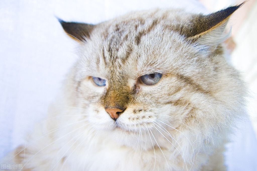 怎样避过尴尬,一个人该怎么避免尴尬