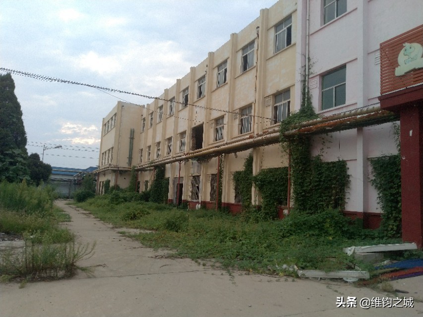 聊城人啊，请再看她一眼！