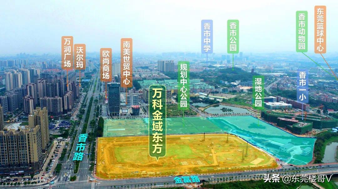 楼哥万科,万科金域东方值得购买吗