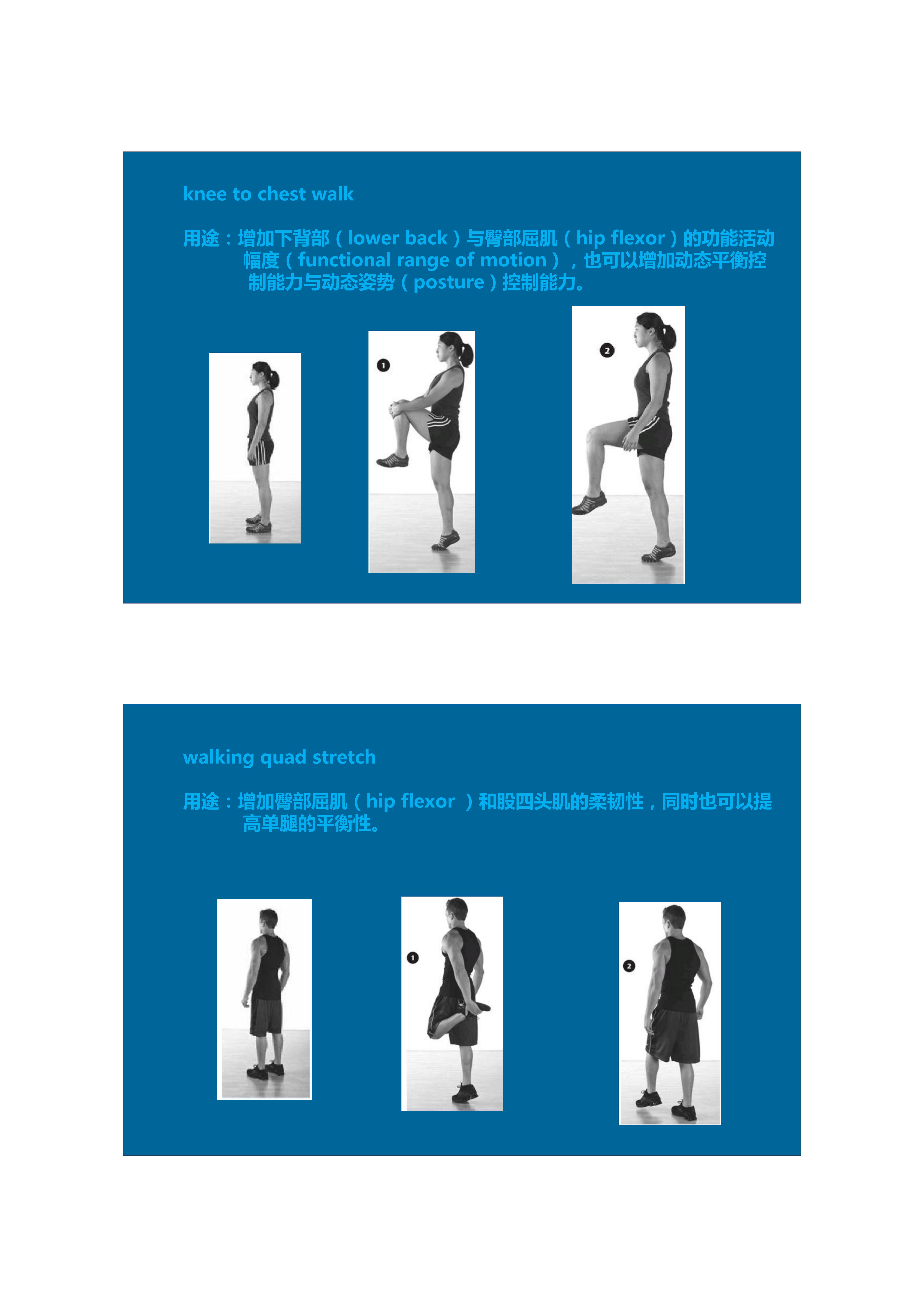 拉伸动态块制作技巧,泰式后背拉伸技巧视频