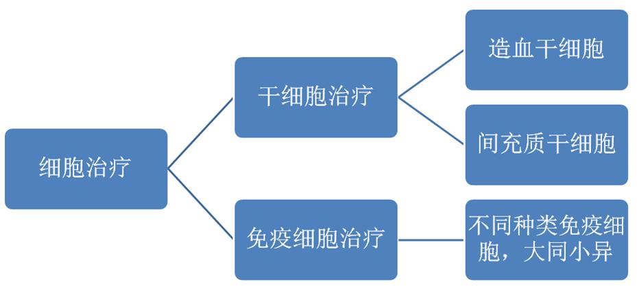 细胞治疗是不是骗人的,细胞治疗的难点
