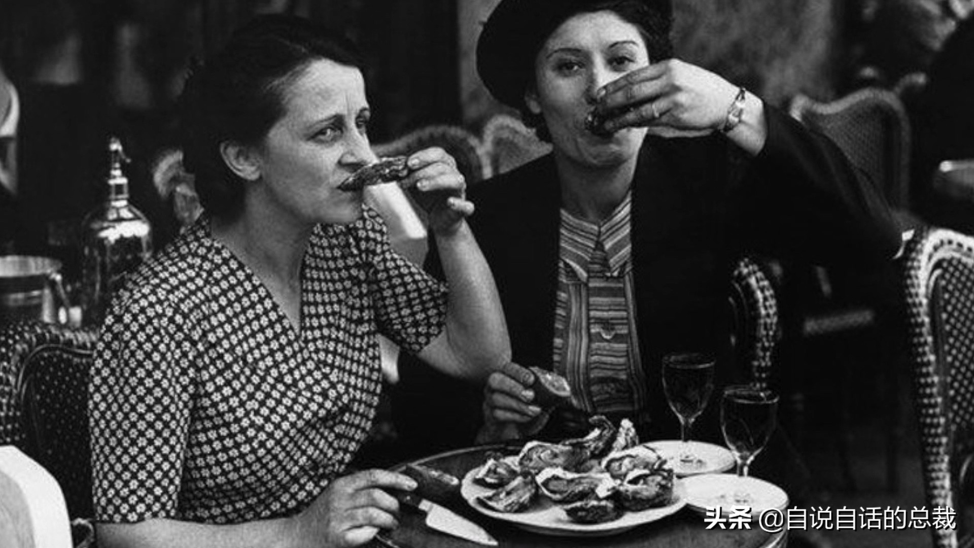 蛤、蚶、蛏、蚝、蚬有什么区别？这是一群美味海怪与人类的故事