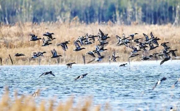 带你去杭州湾新区,带你走进宁波