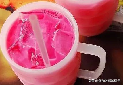 新加坡吃不到的食物,去新加坡吃东西发现没有美食